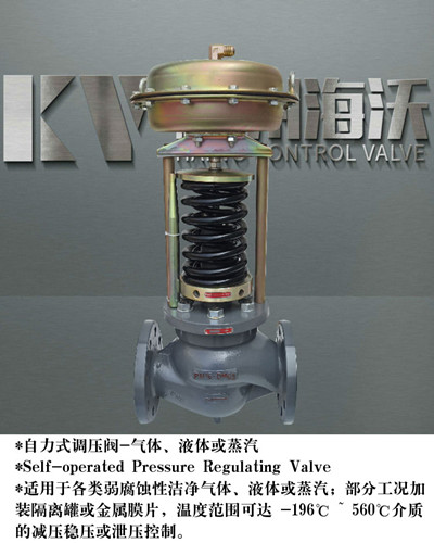 蒸汽減壓閥 蒸汽減壓閥