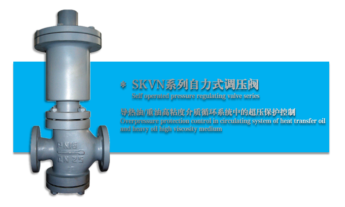 SKVN������ʽ�{(di��o)���y-���ݺ������w�����O(sh��)�����޹�˾